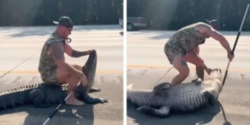 (Видео) Само во Флорида: Босоног човек се бори со алигатор