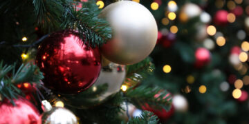 Голема колку 30 фудбалски игралишта: најголемата елка во светот, која е регистрирана во Гинисовата книга на рекорди