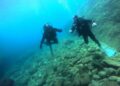 (Видео) Василичарски оган под вода во Охридското Езеро