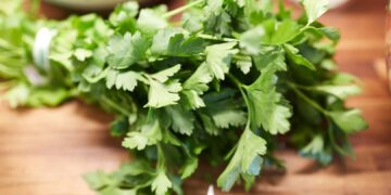 Спас за бубрезите: Чај што ги чисти песокот и камењата побрзо од лековите