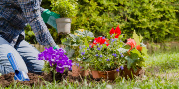 Цвеќиња што се садат во февруари