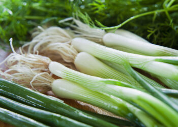 Сезоната на млад кромид започна: Причини зошто треба да го јадете почесто