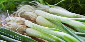 Сезоната на млад кромид започна: Причини зошто треба да го јадете почесто