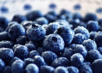 Што се случува во вашето тело ако јадете боровинки секој ден- неверојатно влијание врз мозокот, срцето и варењето