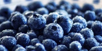 Што се случува во вашето тело ако јадете боровинки секој ден- неверојатно влијание врз мозокот, срцето и варењето