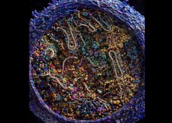 (ВИДЕО) НАУЧЕН ПРОБИВ: Создадена една од најдеталните 3Д реконструкции на човечка клетка досега