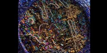 (ВИДЕО) НАУЧЕН ПРОБИВ: Создадена една од најдеталните 3Д реконструкции на човечка клетка досега