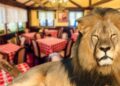 Виц на денот: Лав и бик во кафеана