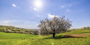 Пролетта конечно ни дојде: Денес не очекува сончево и топло време