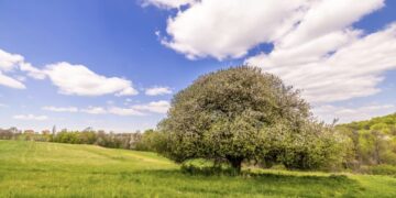 Денес не очекува вистинска пролет: Сончево и топло време со температури до 23 степени
