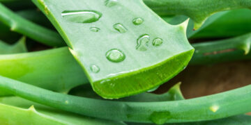 Денеска е најсреќниот ден за шест хороскопски знаци: Ќе имаат многу пари и успех на секој чекор