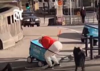 (ВИДЕО) Автономни роботи за достава заглавија на тротоар – луѓето направија нешто што никој не го очекуваше!