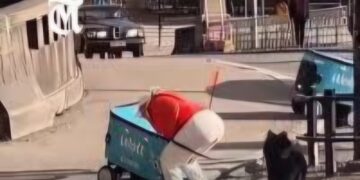 (ВИДЕО) Автономни роботи за достава заглавија на тротоар – луѓето направија нешто што никој не го очекуваше!