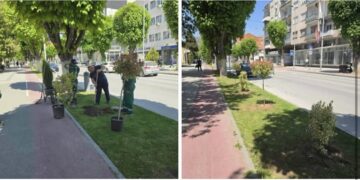 Општина Прилеп со нови активности за подобрување на јавните зелени површини во градот