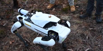 Роботски кучиња ја чуваат пченката: Хаваи воведува висока технологија во земјоделството