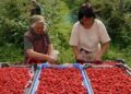 24-годишна скопјанка откри како изгледа работата за 50 евра дневница: „Парите се добри, но ова е вистински кошмар“