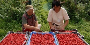 24-годишна скопјанка откри како изгледа работата за 50 евра дневница: „Парите се добри, но ова е вистински кошмар“