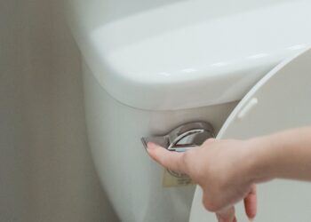 Луѓето почнаа да ставаат оцет во казанчето од тоалетот: Велат дека решава еден голем проблем