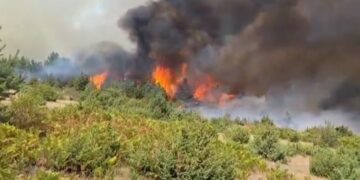 ЦУК објави мапа на пожарите: 14 огнени точки низ државата предизвикуваат загриженост