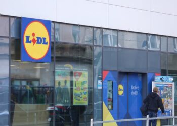 Сопственикот на Lidl и Kaufland влегува во нов сектор: Ќе им конкурира на Amazon, Microsoft и Google