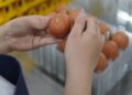 Следниот пат кога купувате јајца, внимателно погледнете ја ознаката: Поважна е од бојата на лушпата