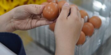 Следниот пат кога купувате јајца, внимателно погледнете ја ознаката: Поважна е од бојата на лушпата