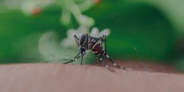 Комарците не касаат случајно: Научниците открија зошто токму вие сте нивната омилена „мета“