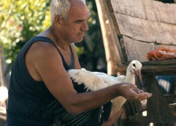 Македонскиот документарец испиша историја – „Приказната за Силјан“ номинирана за две „Еми“