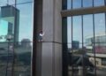 (ВИДЕО) Француски алпинист без заштитна опрема се искачи на Varso Tower – највисокиот облакодер во ЕУ