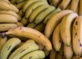 Сивкава кора на бананите? Овој знак може да открие зошто се без вкус